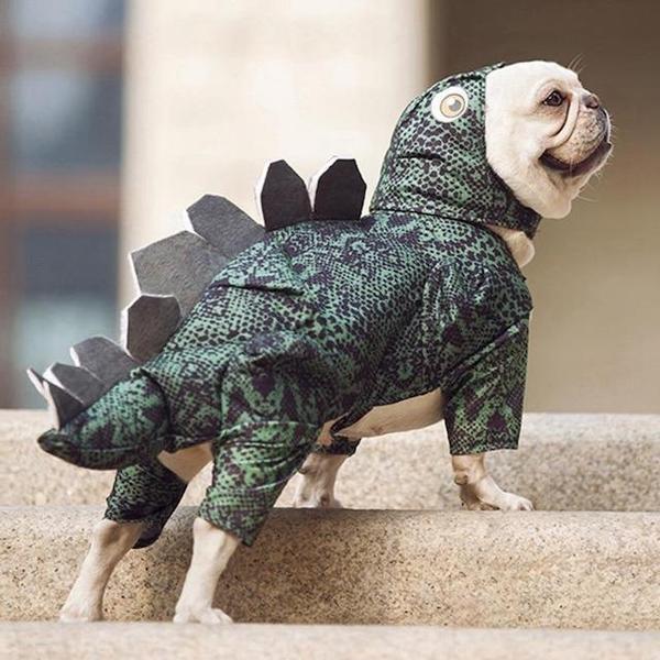 Costume Dinosaure Chien – Image 3